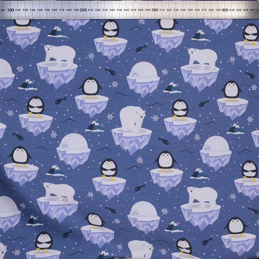 [[EXCLU-CTB 20231117]-ft-Visite aux Pôles] French Terry bio GOTS & Oeko-Tex By MLA 2.3 | Visite aux Pôles