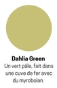 Coupon | Coton GOTS teinture végétale (Dahlia Green)