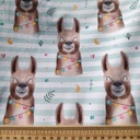 GOTS & Oeko-Tex organic jersey | Lama face (striped)