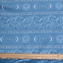 Jersey bio GOTS & Oeko-Tex | Stargazer (linen blue)
