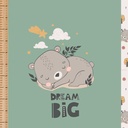 🏞️Panneau 70cm French Terry bio GOTS & Oeko-Tex By MLA 2.3 | "Dream big"
