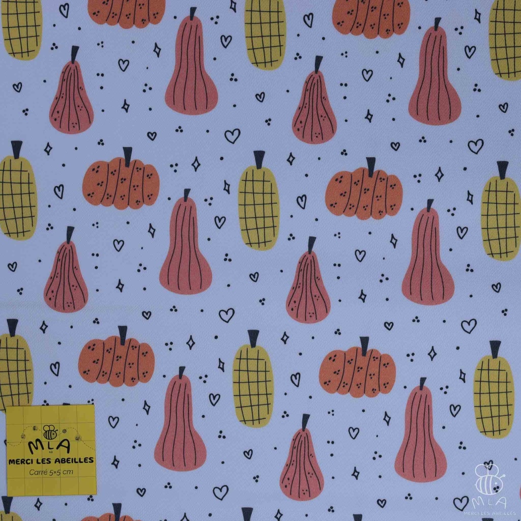 [CTB/2.207.COBIO.03/M-D1.0010/202410] 📏Gabardine GOTS & Oeko-Tex By MLA 2.3 | "Amour de courge"
