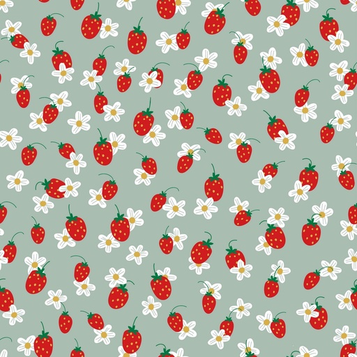 [VHT-08271.007] 📏Jersey bio GOTS & Oeko-Tex menthe | Fraises