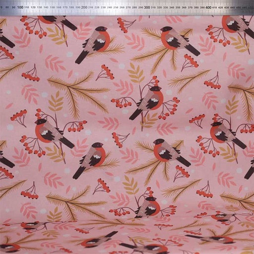 Percale bio GOTS & Oeko-Tex By MLA 2.3 | Monsieur Bouvreuil