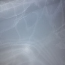 Biodegradable food veil (transparent)