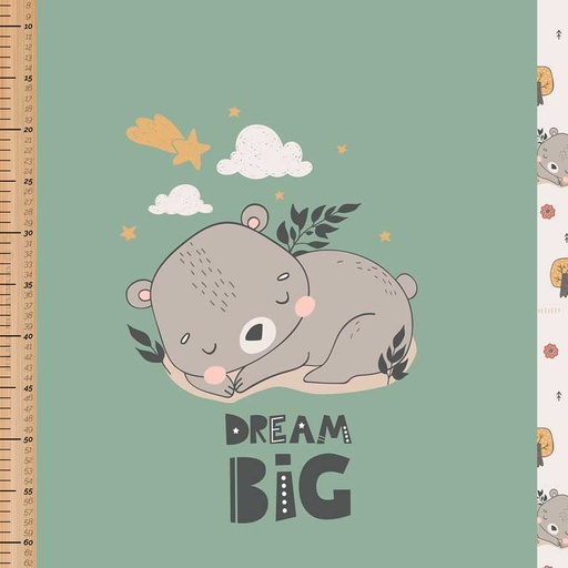 [PAN-CTB-20240920-dream-big-ft] 🏞️Panneau 70cm French Terry bio GOTS & Oeko-Tex By MLA 2.3 | "Dream big"