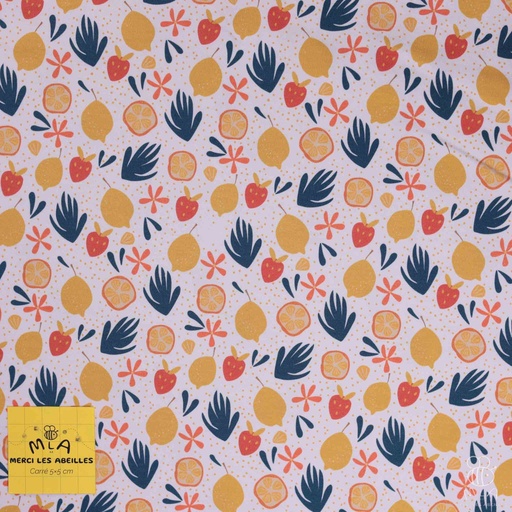 [CTB/1.108.COBIO.03/M-D1.0077/202406] 📏Jersey bio GOTS & Oeko-Tex By MLA 2.3 | "Agrumes"