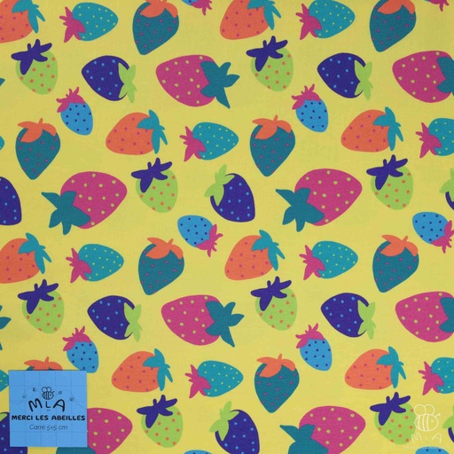 [CTB/1.108.COBIO.03/M-D1.0069/202406] 📏Jersey bio GOTS & Oeko-Tex By MLA 2.3 | "Fraises funky"