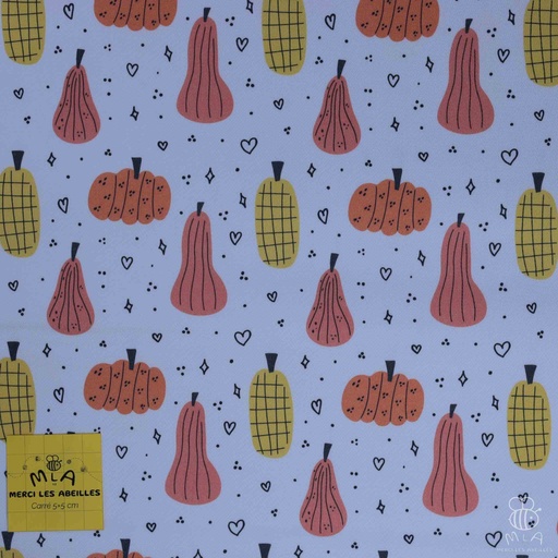 [CTB/2.207.COBIO.03/M-D1.0010/202410] 📏Gabardine GOTS & Oeko-Tex By MLA 2.3 | "Amour de courge"