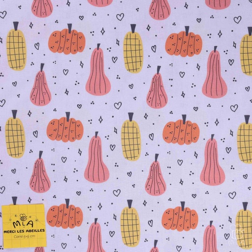 [CTB/2.211.COBIO.01/M-D1.0048/202410] 📏Percale 100% coton bio GOTS By MLA 2.3 | "Amour de courge"